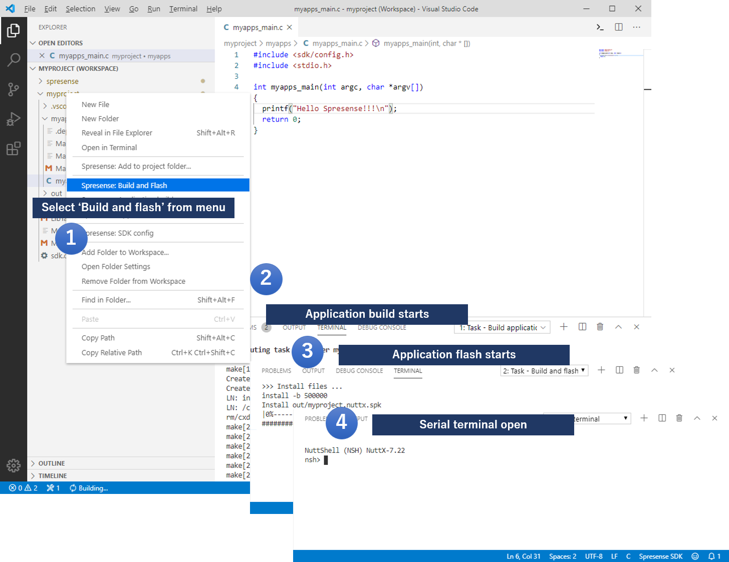 vscode flash application en